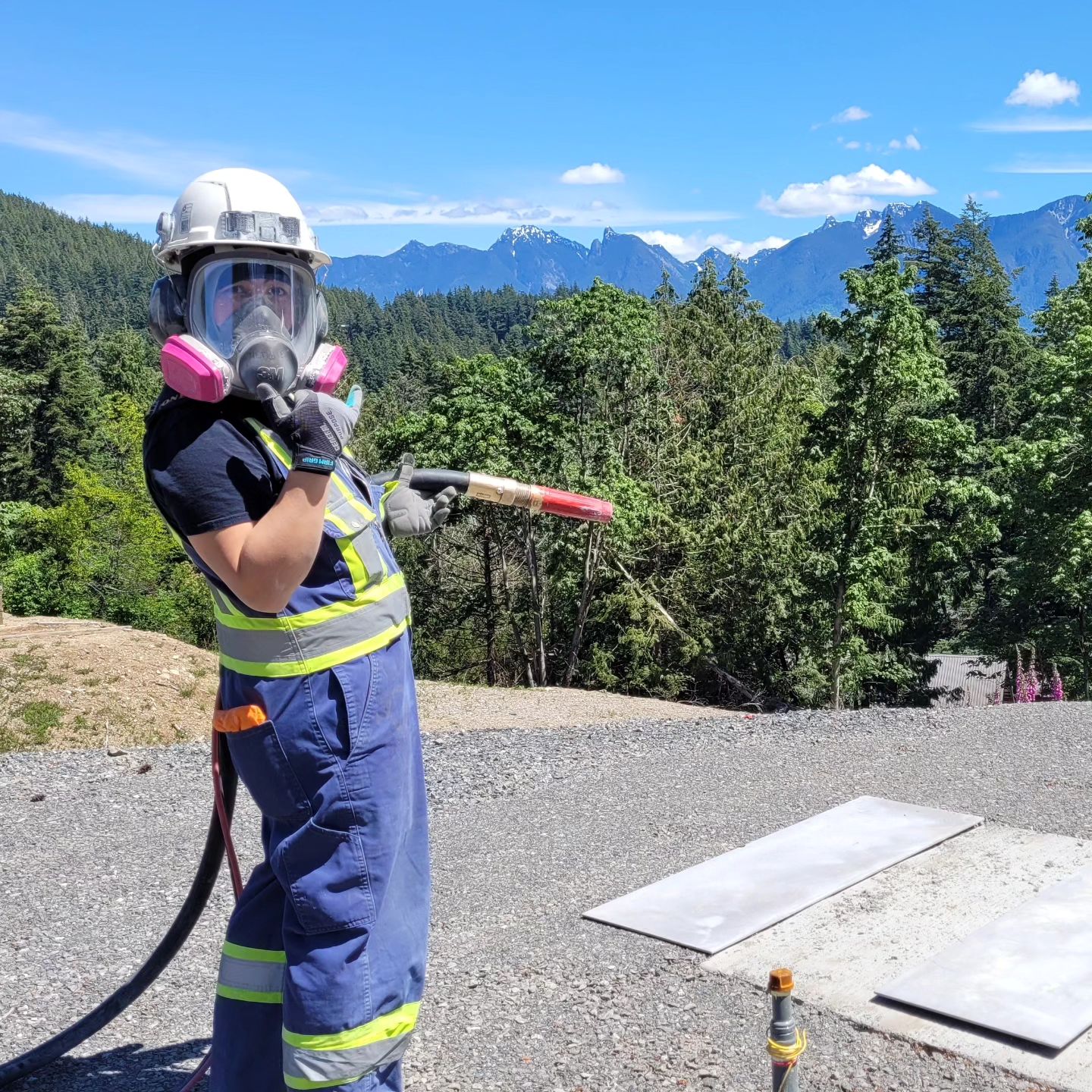 A little history of the ‘Hedgie’